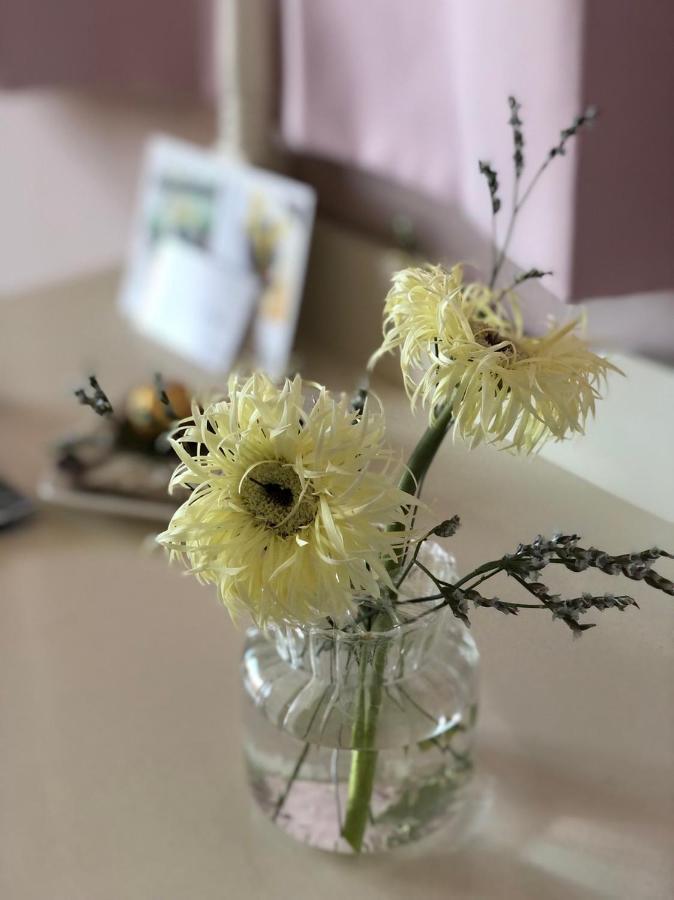 卡布-花藝小民宿 Taitung Floral B&B 外观 照片